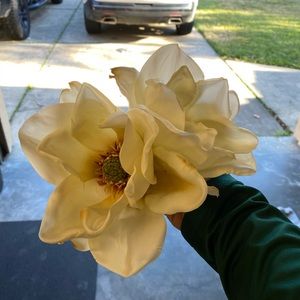 Cream True Touch Magnolias